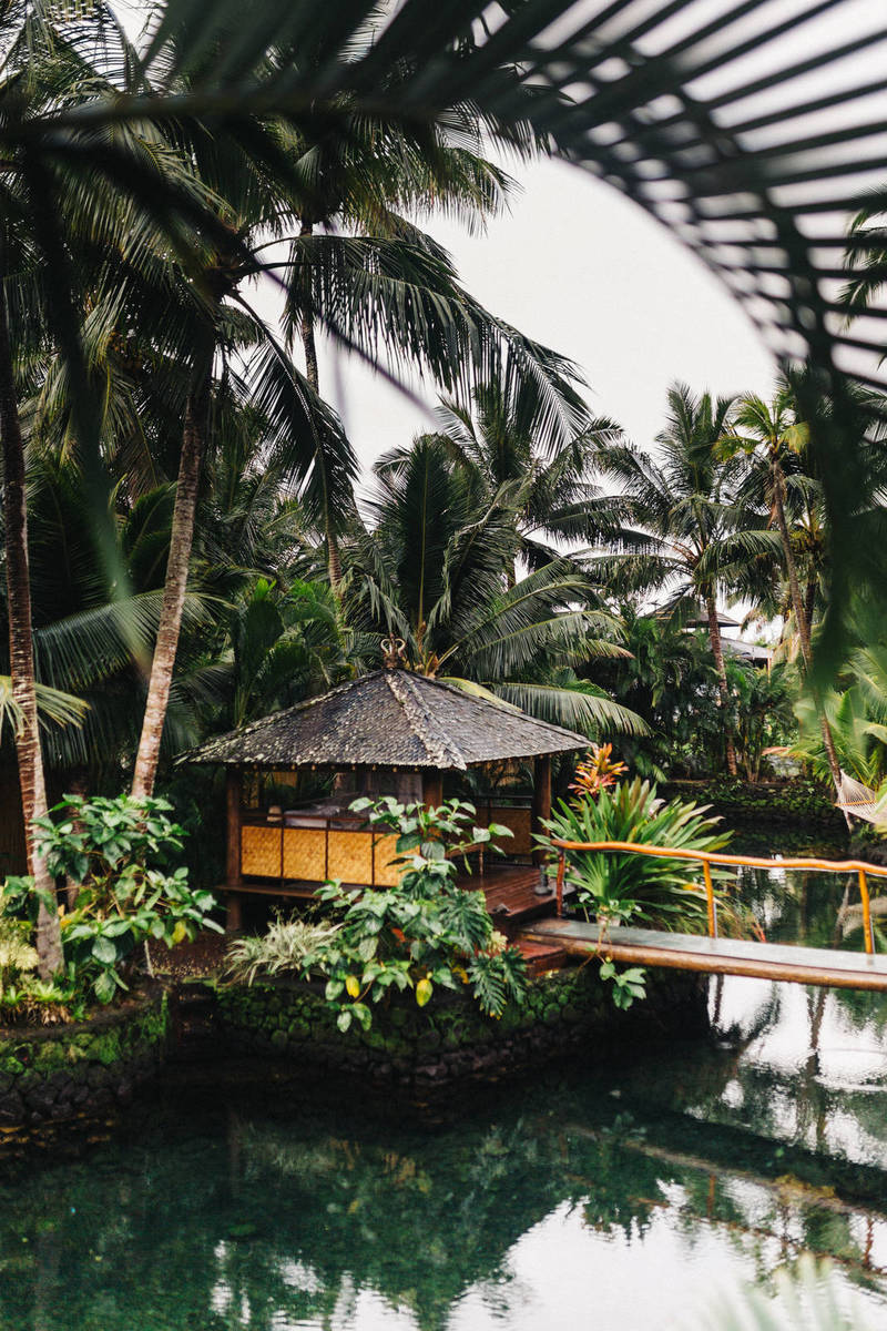 Best Budget Headphones in 2021 Jam out Without Breaking the Bank