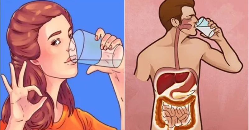 What Happens To Your Body If You Drink Every Morning A Glass Of Hot Water On An Empty Stomach ?