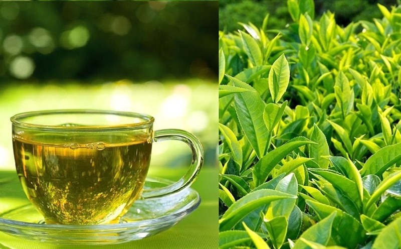 10+ tác dụng của trà xanh đối với sức khỏe kể cả nam giới hay phụ nữ đều nên biết
