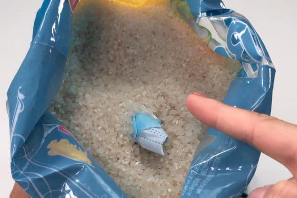 Hóa ra mọt gạo sợ nhất là “nó”, bỏ một ít vào túi gạo, để nửa năm cũng không lo có sâu mọt