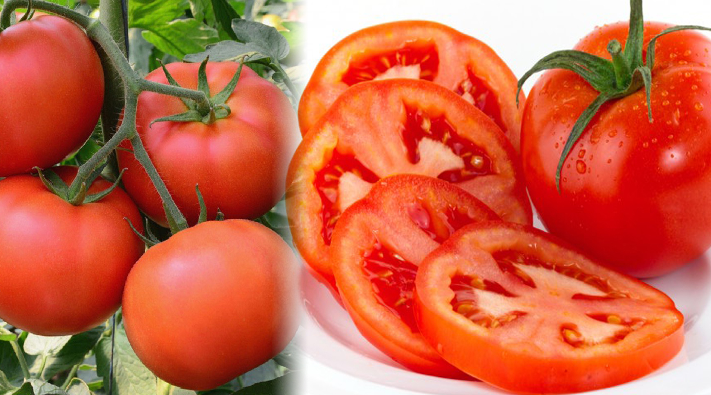 7 lợi ích sức khỏe của cà chua ít người biết đến
