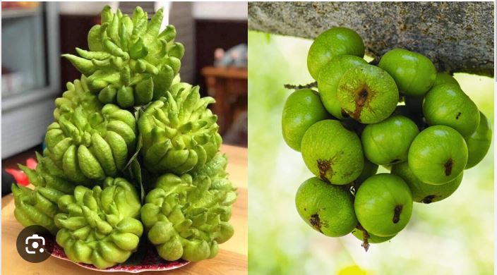 Những loại trái cây nên bày trên bàn thờ dịp Tết để năm mới lộc lá nhân đôi, làm gì cũng phát đạt