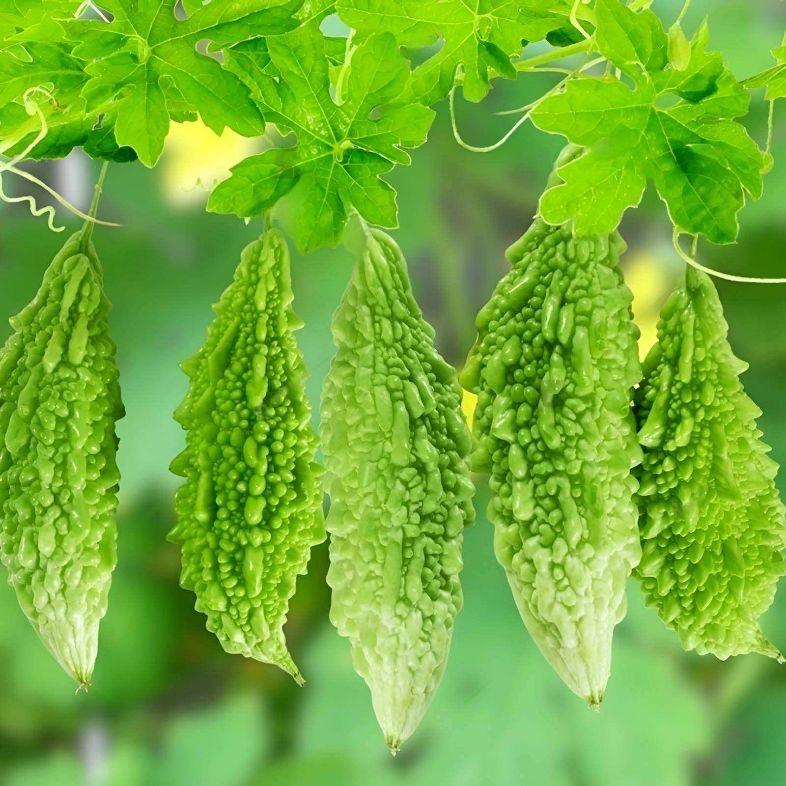 3 loại rau quen thuộc giúp hạ mỡ máu, ổn định đường huyết hiệu quả