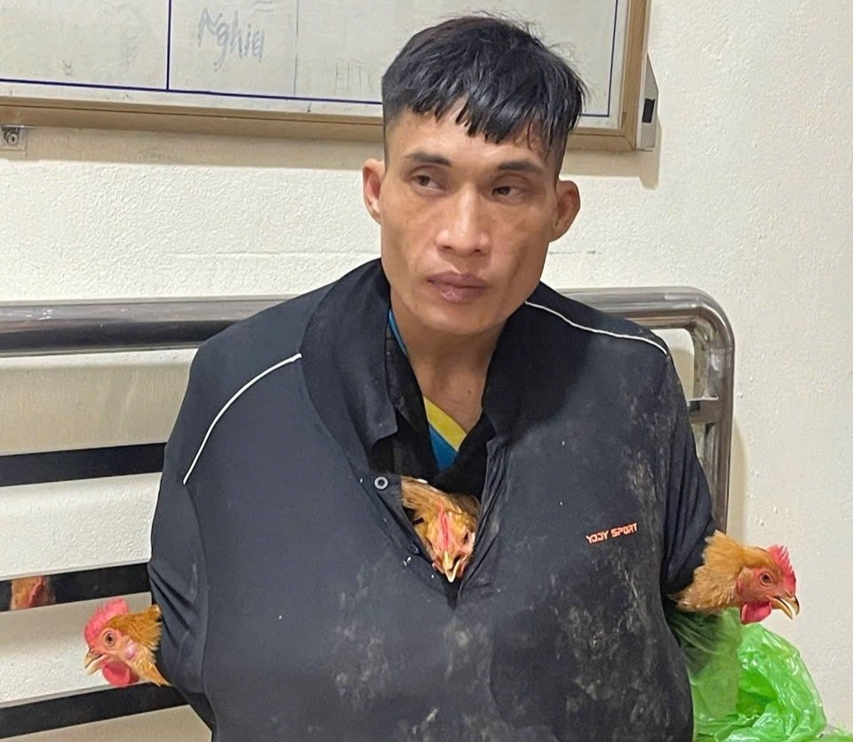 Bắt kẻ trộm gà với màn ngụy trang ‘có một không hai’ khiến ai cũng ngỡ ngàng