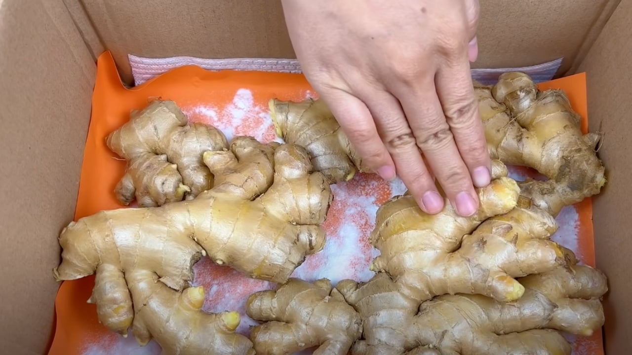 8 cách bảo quản gừng tươi để dùng quanh năm