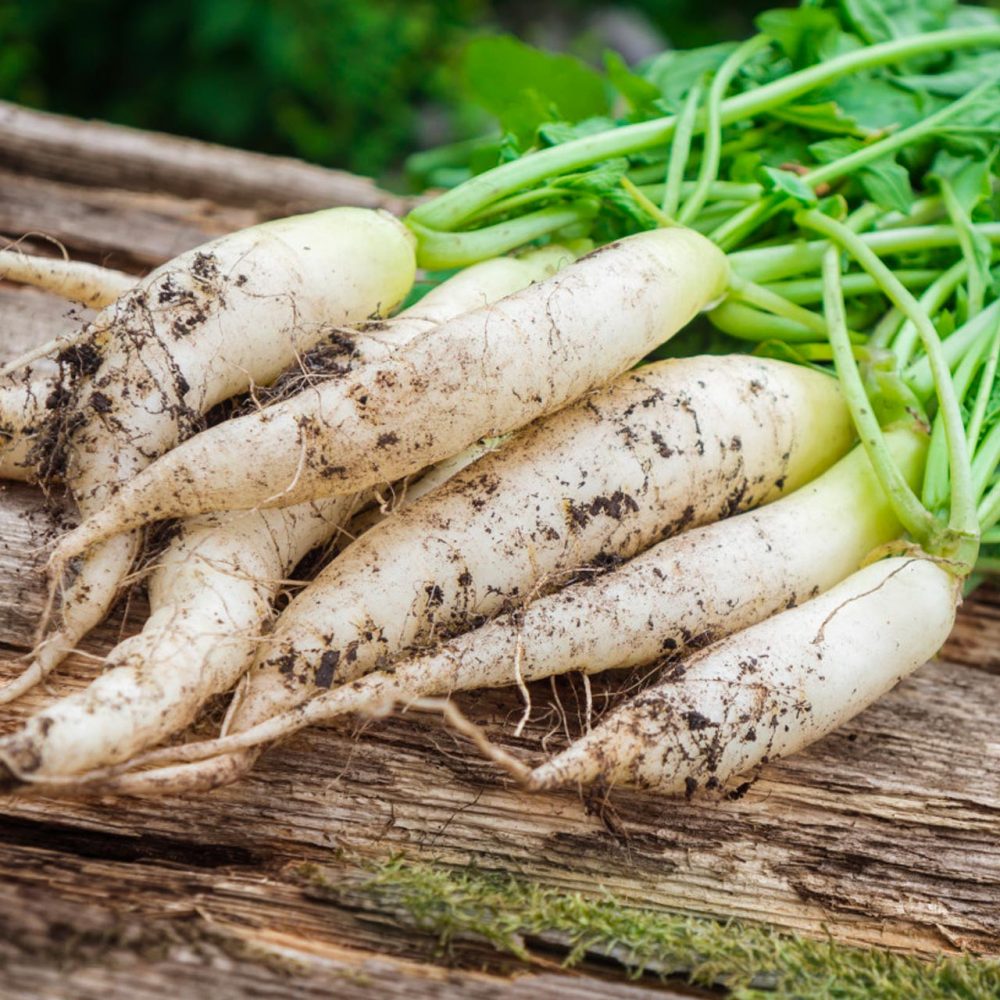 Ai không nên ăn củ cải trắng?