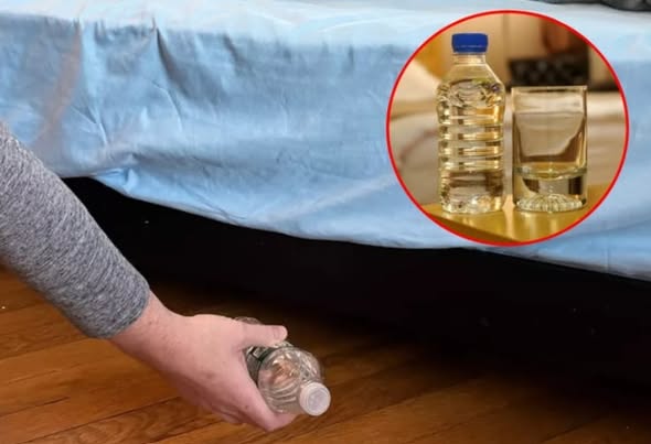 Vì sao khi ở nhà nghỉ, khách sạn, phải ném chai nước vào gầm giường?