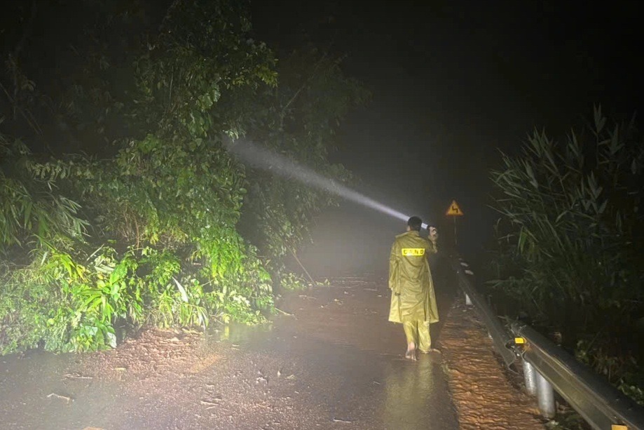 Đèo nối Đà Lạt với TPHCM sạt lở giữa đêm, giao thông chia cắt